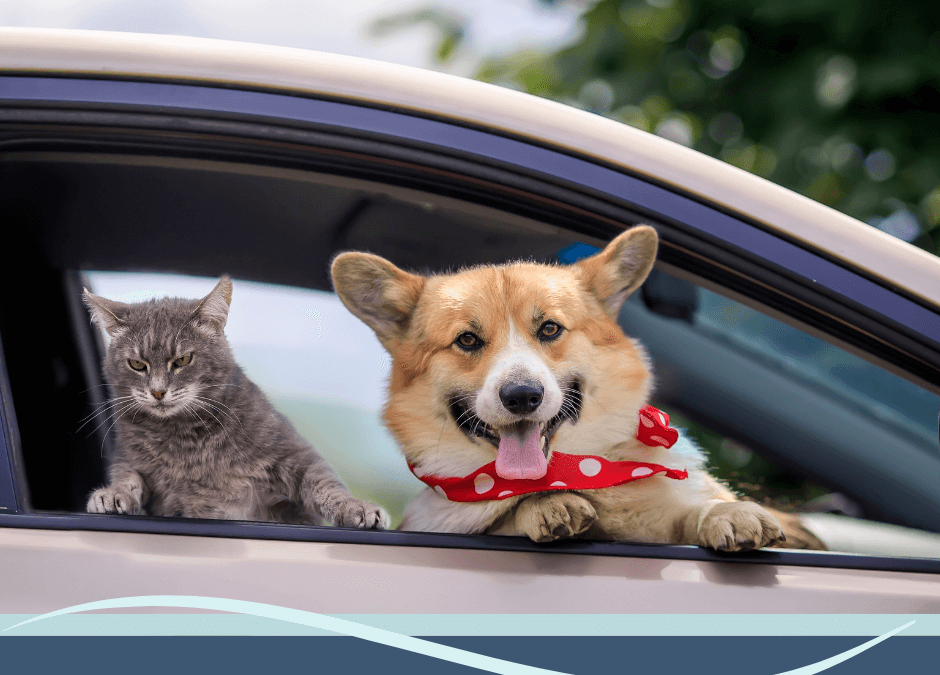 Tips for Stress-Free Travel with Your Furry Friends