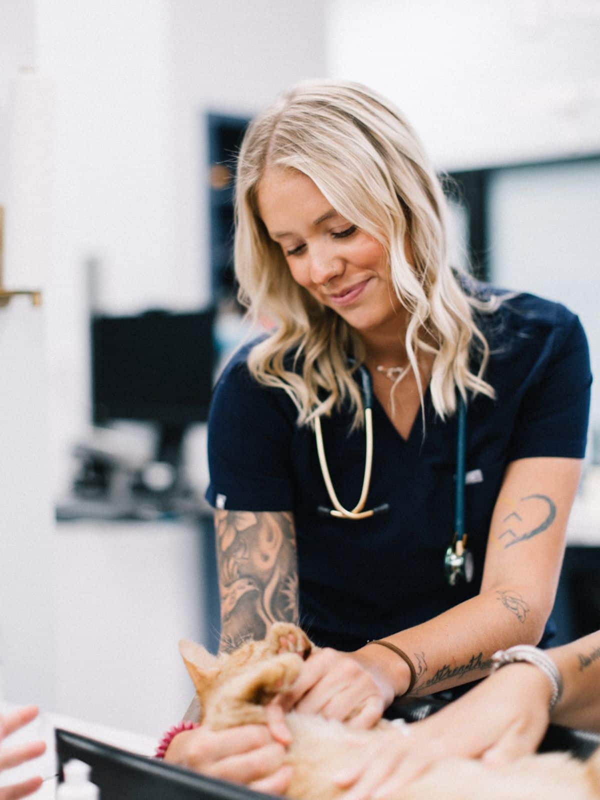 a vet examining a cat held by a girl